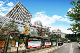 中標 厲害了,人民路最美的畫面歸他啦