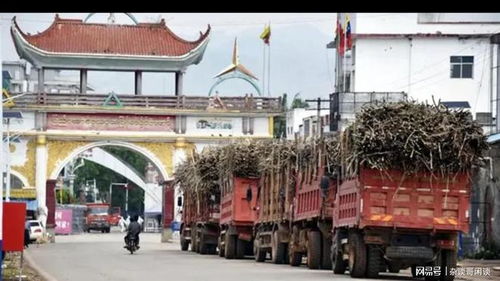 果敢上萬噸甘蔗進入云南 圣母心網(wǎng)友 可幫建工廠,促進當?shù)匕l(fā)展