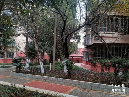 云南大范圍雨雪來了 未來幾天,昆明