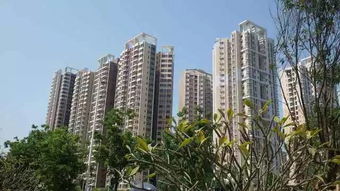 2月起這些新規(guī)將實施,快來看看,影響四川人的還不少