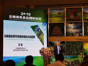 云南綠色食品國(guó)際論壇成功舉辦,十二塊田與云南建投房地產(chǎn)現(xiàn)場(chǎng)簽署合作協(xié)議