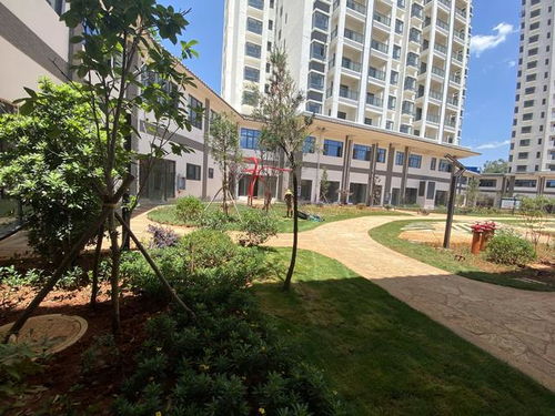 全款17萬起，云南5A級景區旅居房產帶回家